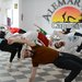 Alemar Capoeira - Cursuri de capoeira